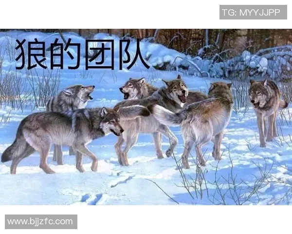 上海1980与生涯俱乐部的对决探索球员成长与团队精神的交汇点