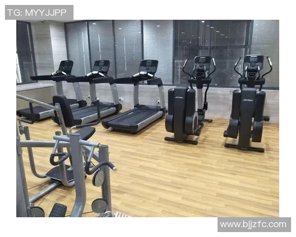 东莞胜辉健身器材助力健康生活打造专业健身解决方案